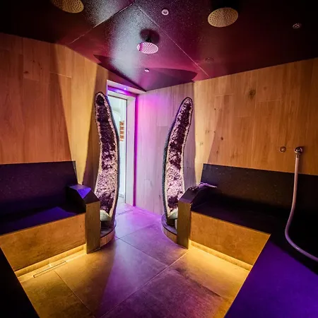 酒店 布拉邦德度假酒店 温特贝格