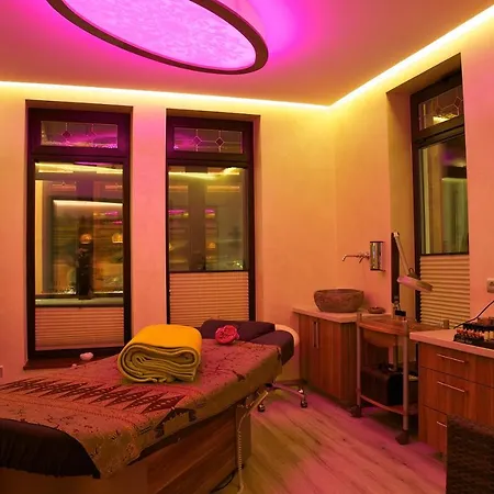 Vakantiehotel Der Brabander 4* Βίντερμπεργκ