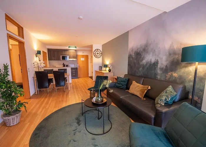 Hotel Vakantiehotel Der Brabander Winterberg